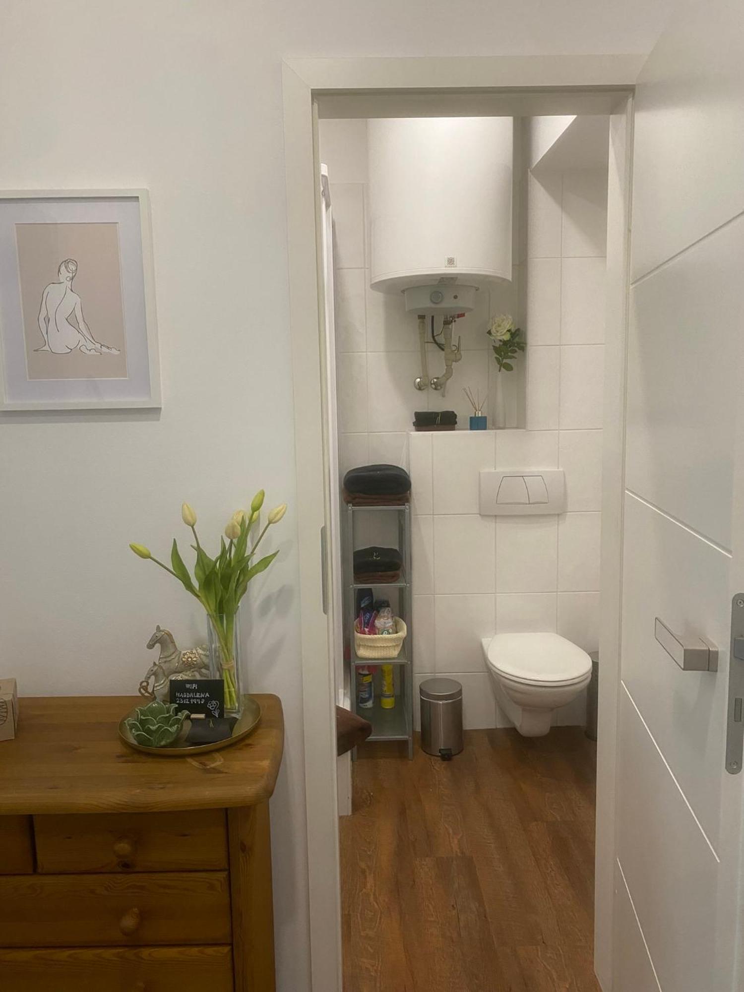 Apartmán 2+kk, 50 M2 V Klidne Lokalite. 10 Min Od Centra Prahy. Praha